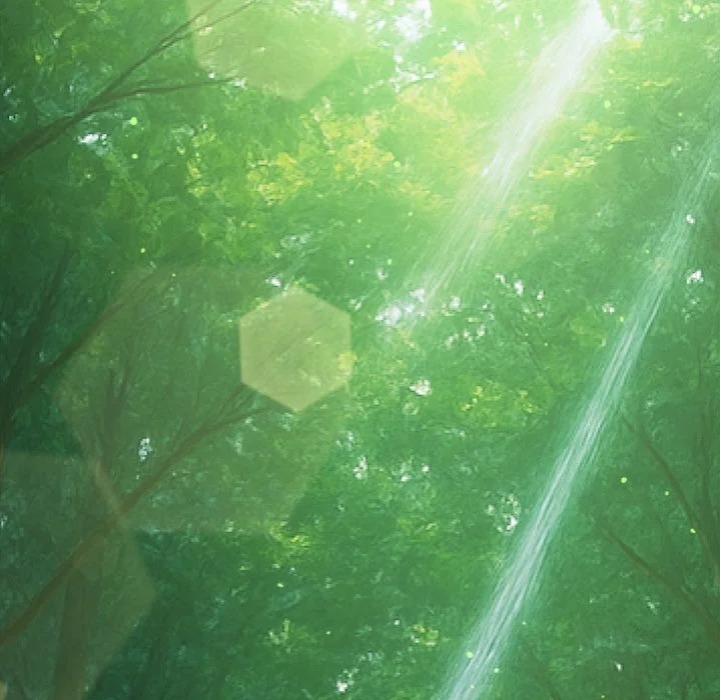 my-high-school-bully-001-chap-266-41